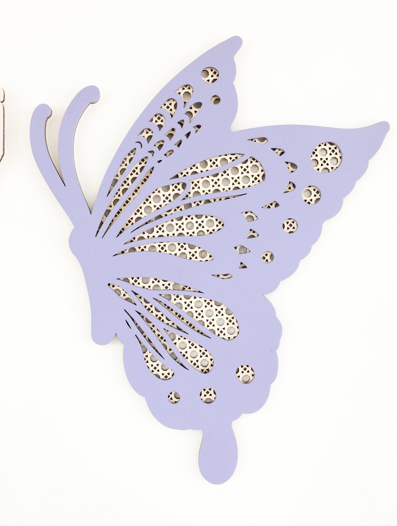Boho Rattan Butterfly Set of Two